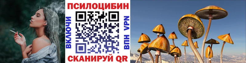 даркнет сайт  Макарьев  мега ссылка  Псилоцибиновые грибы прущие грибы 